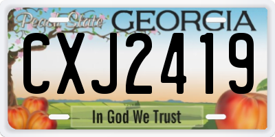 GA license plate CXJ2419