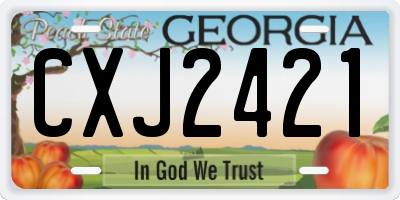 GA license plate CXJ2421