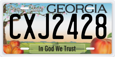 GA license plate CXJ2428