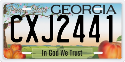 GA license plate CXJ2441