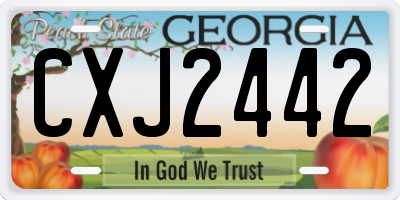GA license plate CXJ2442