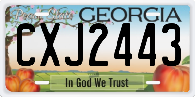 GA license plate CXJ2443