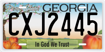 GA license plate CXJ2445