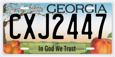 GA license plate CXJ2447