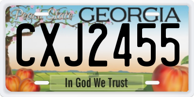 GA license plate CXJ2455