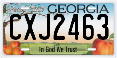 GA license plate CXJ2463