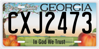 GA license plate CXJ2473