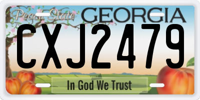 GA license plate CXJ2479