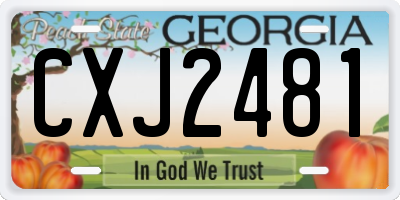 GA license plate CXJ2481