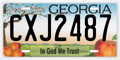 GA license plate CXJ2487