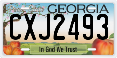 GA license plate CXJ2493