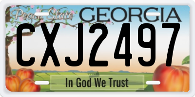 GA license plate CXJ2497
