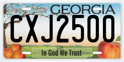 GA license plate CXJ2500