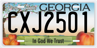 GA license plate CXJ2501