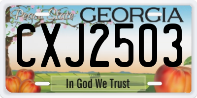 GA license plate CXJ2503