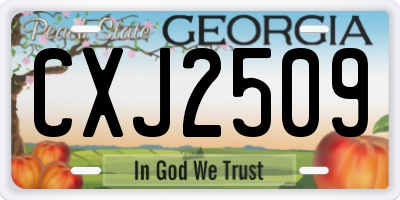 GA license plate CXJ2509