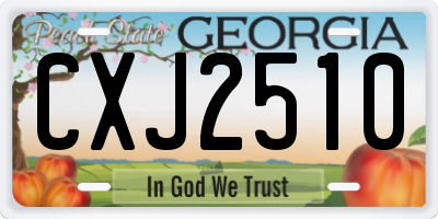 GA license plate CXJ2510