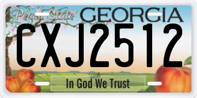 GA license plate CXJ2512