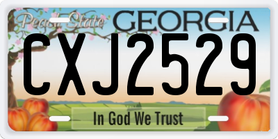 GA license plate CXJ2529