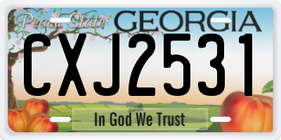 GA license plate CXJ2531