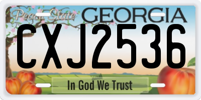 GA license plate CXJ2536