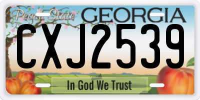 GA license plate CXJ2539