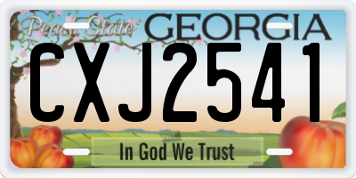GA license plate CXJ2541