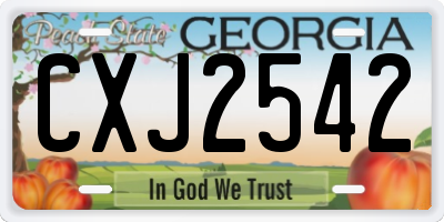 GA license plate CXJ2542