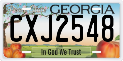 GA license plate CXJ2548