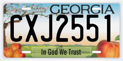 GA license plate CXJ2551