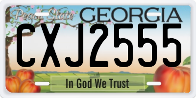 GA license plate CXJ2555