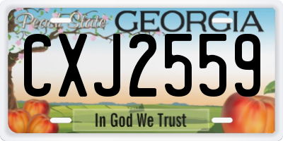 GA license plate CXJ2559