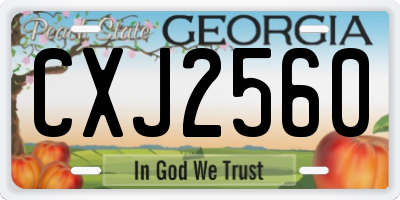 GA license plate CXJ2560