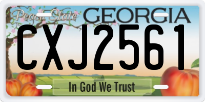 GA license plate CXJ2561