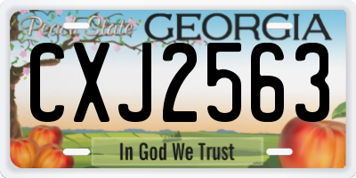 GA license plate CXJ2563