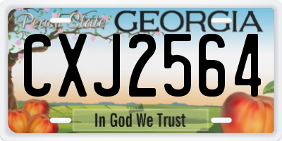 GA license plate CXJ2564