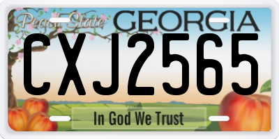 GA license plate CXJ2565