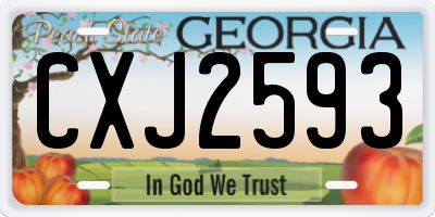 GA license plate CXJ2593