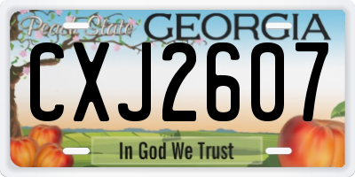 GA license plate CXJ2607