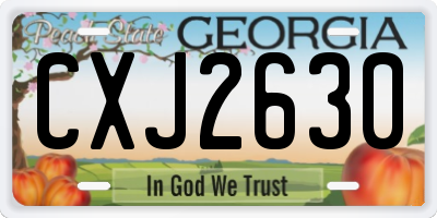 GA license plate CXJ2630