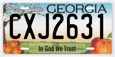GA license plate CXJ2631