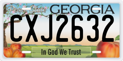 GA license plate CXJ2632