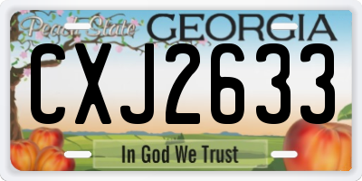 GA license plate CXJ2633