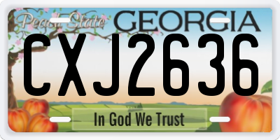 GA license plate CXJ2636