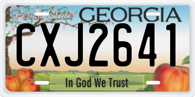 GA license plate CXJ2641