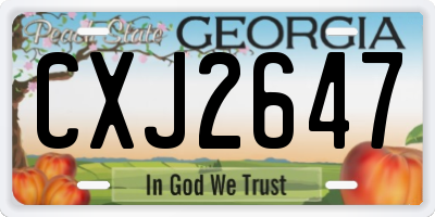 GA license plate CXJ2647