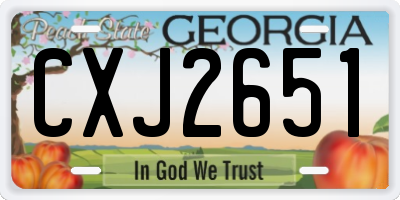 GA license plate CXJ2651