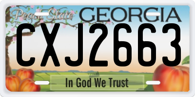 GA license plate CXJ2663