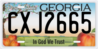 GA license plate CXJ2665