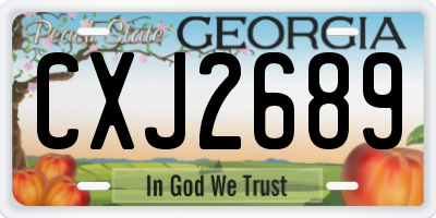 GA license plate CXJ2689